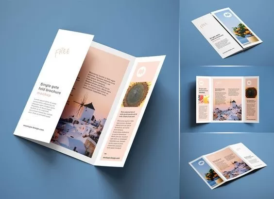 Company Brochures Design And Printing In Sion