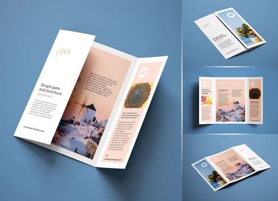 Company Brochures, Products Catalogue Design and Printing service in nerul