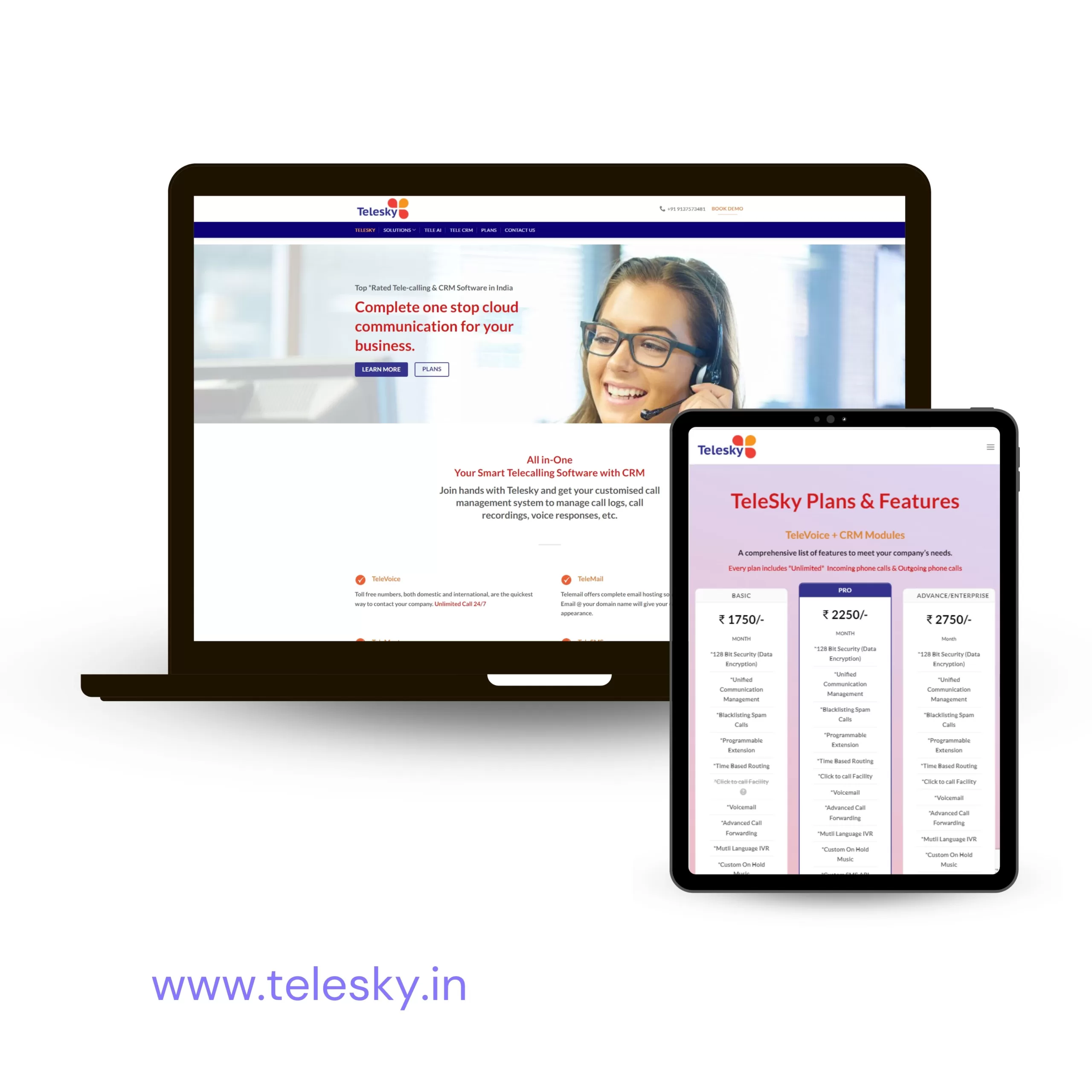 Telesky.in Website Portfolio