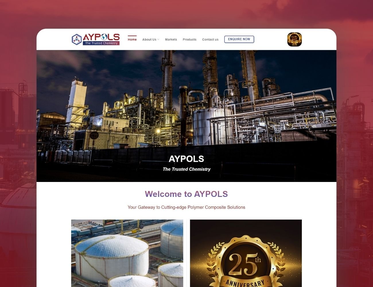 aypolspolymers portfolio