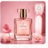 Fragrance Story